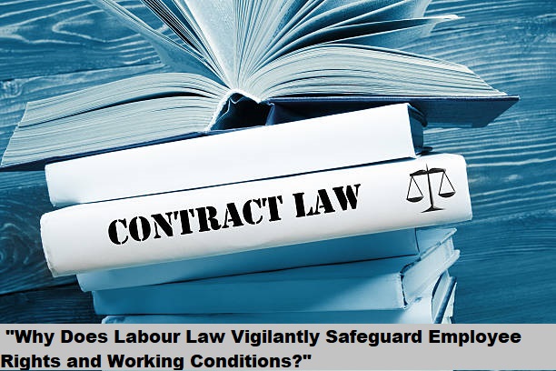 “Why Does Labour Law Vigilantly Safeguard Employee Rights and Working Conditions?”
